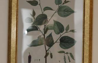 Cosy Camden 1 Bedroom Terrace Apartment - Foto 28