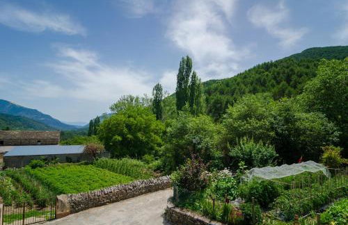 Borda Diego - Photo 8