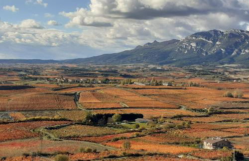 Casa Rural Erletxe - Photo 26