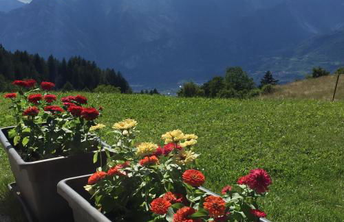 Trentino in malga: Malga Zanga - Foto 75