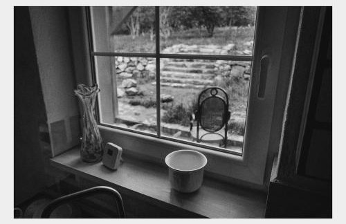 Kozy i Róże - Foto 20