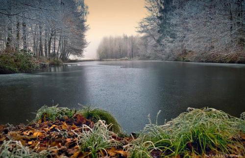 Ferienwohnung Mörlenbach - Foto 62
