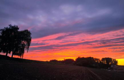 Ferienwohnung Traumblick - Foto 16