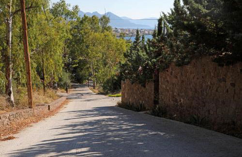 Eucalyptus Villa - Foto 31