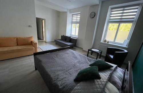 Apartamenty Trzciana - Foto 3