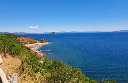 L' Amabile Geko - Foto 2