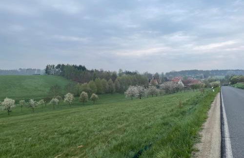 Ferienhof"WaldEsel Rippersroda" - Foto 64