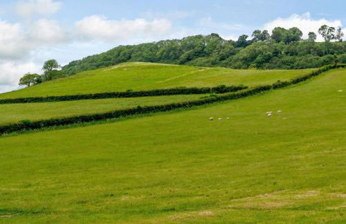 Mulberry Cottage - Foto 22