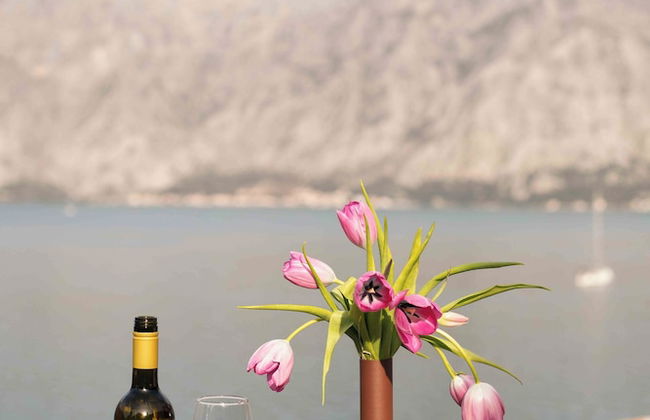 Step to Kotor bay Stoliv - Photo 39