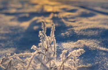 Ferienwohnung vor den Toren Berlins - Foto 32