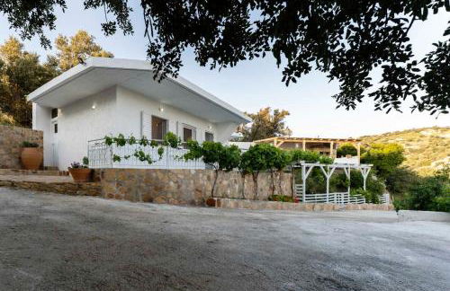 Mano's House - Foto 47