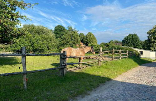 Wohnung in Lübberstorf am Neuklostersee - Foto 15