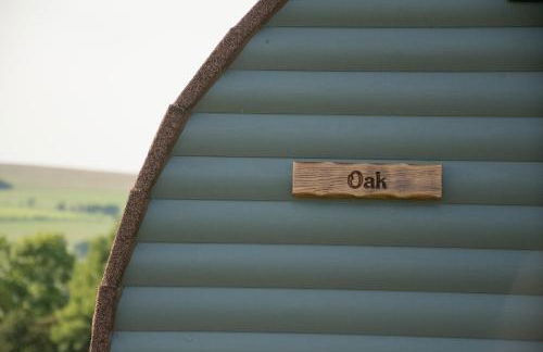 Wild Northumberland Glamping - Foto 45