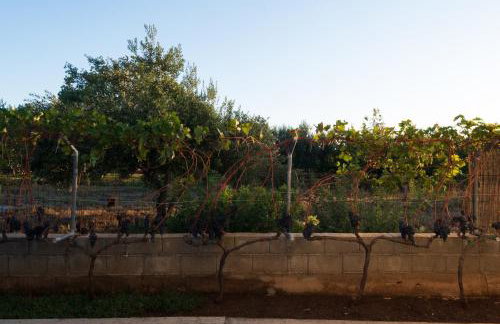 Villa Green Oasis with private pool, full privacy - Foto 46