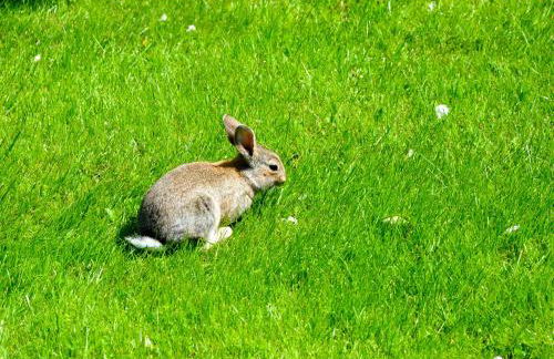 Haus am Deich - Photo 14