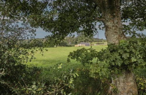 Dysynni Pod - Foto 20