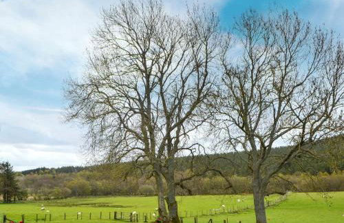 Townhead Cottage - Foto 21