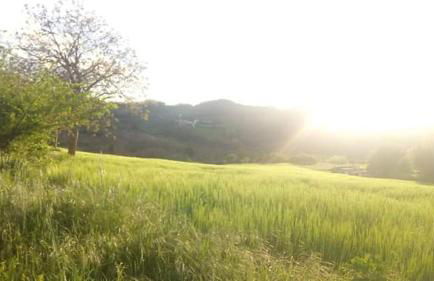 Casa Vacanze Campo d'Arco - Foto 8