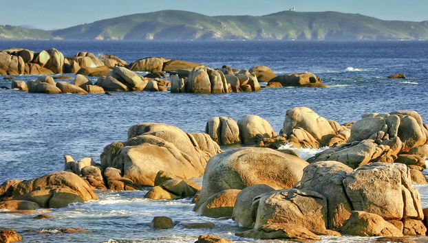 Barco a la isla de Ons desde Portonovo - Foto 4