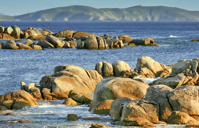 Barco a la isla de Ons desde Portonovo - Foto 4