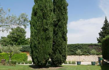 Le gite de lOlivier en Provence - Foto 17