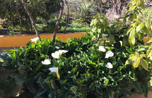 Casa Casilda - Foto 12