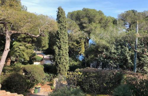 Villa de Charme au coeur du Cap-Ferrat - Photo 36