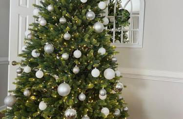 Queen City family-friendly entire house, Charlotte - Foto 69