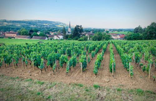 The Gate House & Winery - Foto 21