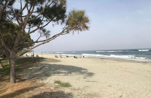 Charmant bonheur en bord de mer - Foto 24