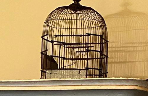 Poço do Bispo 28 - Foto 13