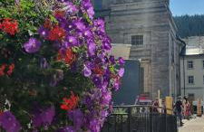 Waldgeflüster 2-Zi-DesignOase mit Terrasse und Tiefgarage im Neubau - Foto 24