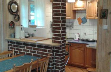 Błękitny Domek - Tleń - Bory Tucholskie - Foto 19