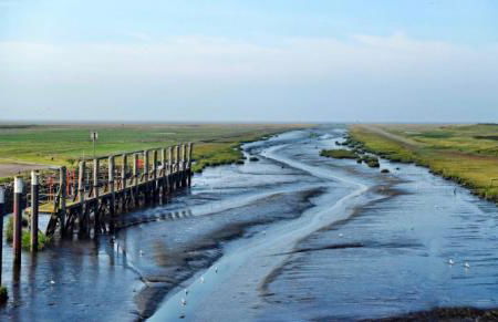 Hafenglück Friedrichskoog - Foto 21