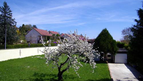 Grand appartement dans villa avec parking quartier résidentiel - Foto 4, Garden