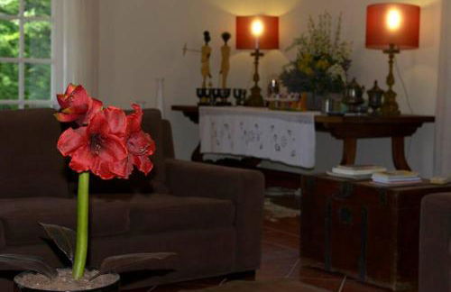 Casa do Castanheiro - Foto 19