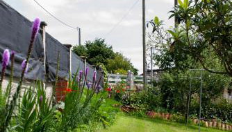 Casa Los Naranxales Gijon - Foto 4, Garden