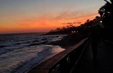 Residencial Algaida - Photo 23