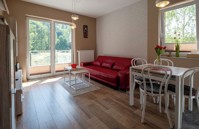 Apartamenty Sun & Snow River Park - Photo 21