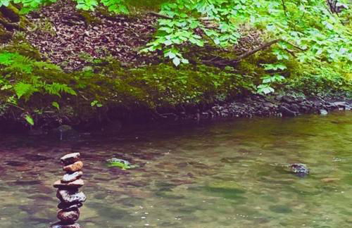 Ferienhaus Blumenwiese - Foto 8