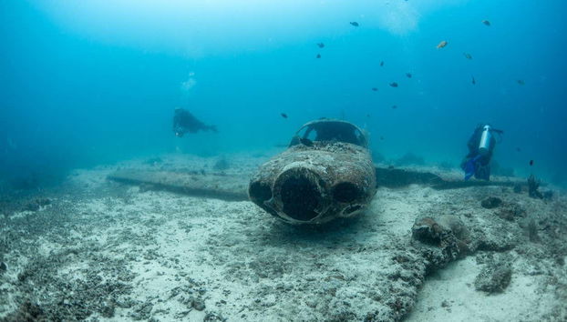 Découvrir les secrets du fond de la mer