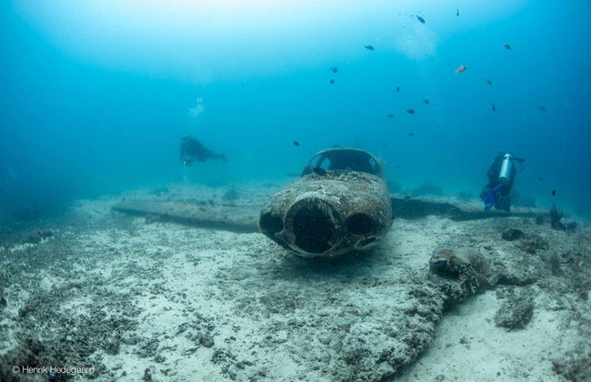 Buceo en Moalboal - Foto 5