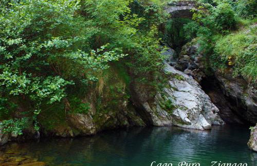 Terra Del Bosco Agriturismo - Foto 44