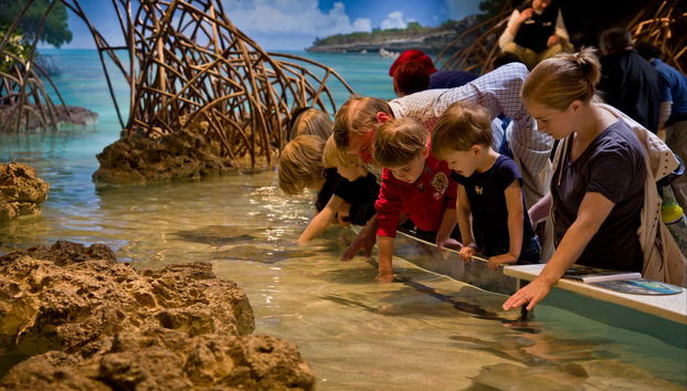 Visitando il New England Aquarium
