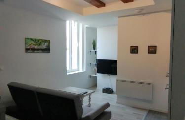 Jungle Zen Beau T2 avec jardin Gare 100m - Foto 15