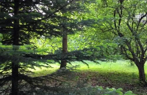 gite d'Albertine - Foto 15