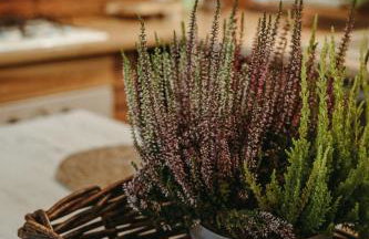 Dom Suwalszczyzna - Photo 79