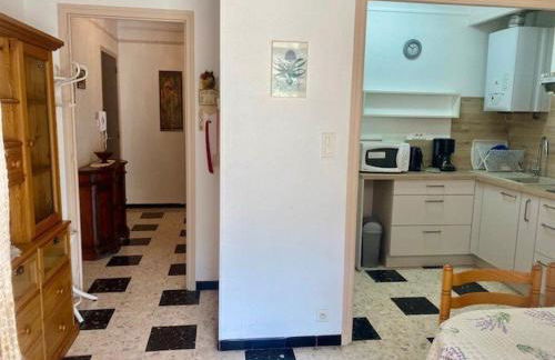 Studio cosy avec terrasse, parking et wifi - Idéal cures et centre-ville, Amélie-les-Bains - FR-1-703-3 - Foto 9