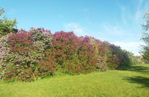 Farm-Chalet Renzow - Foto 24