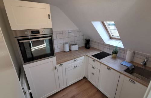 Ferienwohnungen Flussufer - Neckargemünd Altstadt - Foto 6